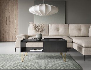 Стол журнальный Perfect Home Хармони / Harmony L97 Черный реальная фотография
