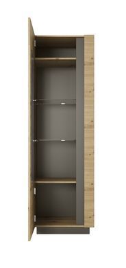 Витрина высокая Perfect Home Арко / Arco 1-дверная 1D1W/60 Дуб артизан/графит реальная фотография